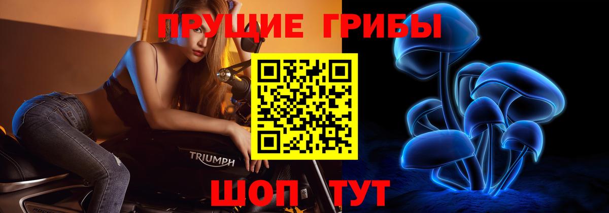 Галлюциногенные грибы Psilocybe  Псилоцибиновые грибы Magic Shrooms  Вход с VPN  Калининград 